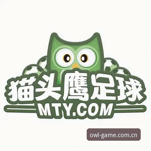 猫头鹰体育平台深度评测：客服专业度与用户体验全面分析
