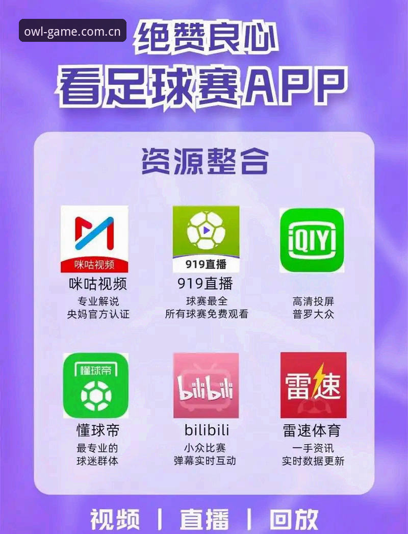 猫头鹰体育APP实用指南：从下载到观赛的完整体验分享