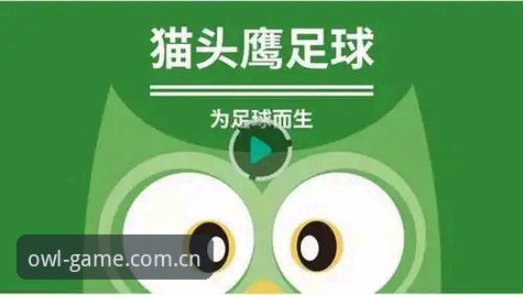 猫头鹰体育平台深度评测：一个老用户眼中的移动观赛神器