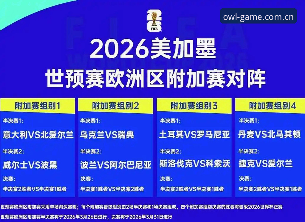 2026世界杯观赛危机深度分析：签证困局如何影响全球球迷与赛事经济